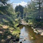 Slippery Stones Pool 2