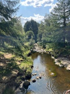 Slippery Stones Pool 2