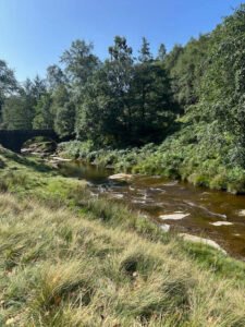 Slippery Stones Pool